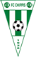 Fussballclub Chippis